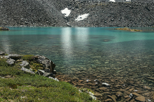 Sunny όμορφο τοπίο με χόρτα σε βράχους κοντά στην άκρη του νερού της λίμνης βουνό στο φως του ήλιου. Γραφικό τοπίο με ορεινή χλωρίδα κοντά στην άκρη της παγετώδους λίμνης. Πέτρα πυθμένα σε καθαρά νερά της λίμνης παγετώνα. - Φωτογραφία, εικόνα