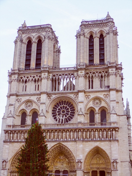 Retro look Notre Dame Pariisi
 - Valokuva, kuva