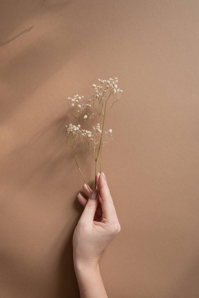 Рука тримає букет з квітів гіпсофіли або дихання дитини
 - Фото, зображення