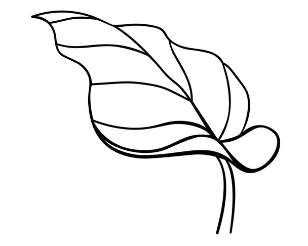Leaves. Calla leaf, tropical plant - vector line art picture for coloring book, logo or pictogram. Outline. Succulent tropical leaf - botanical illustration for coloring book - Вектор, зображення