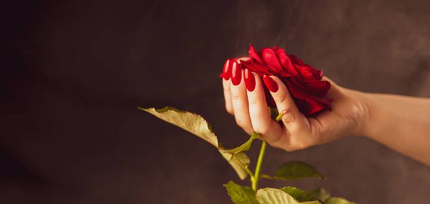 Crop woman with red nails and rose flower. High angle of crop female with tender rose bud in hands with red nail polish in studio with smoke on black background. - 写真・画像