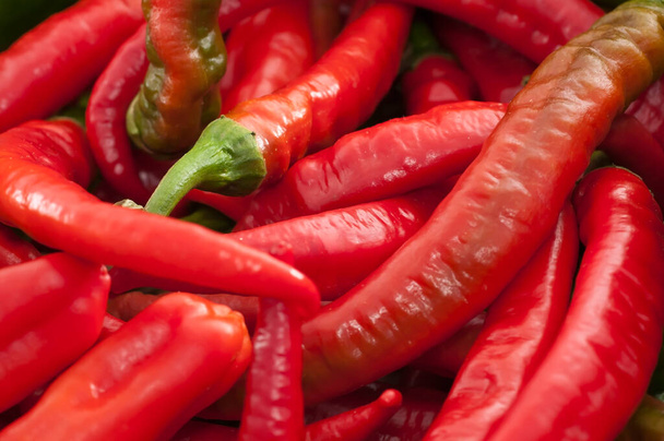Wallpaper with bulk peppers - Photo, Image