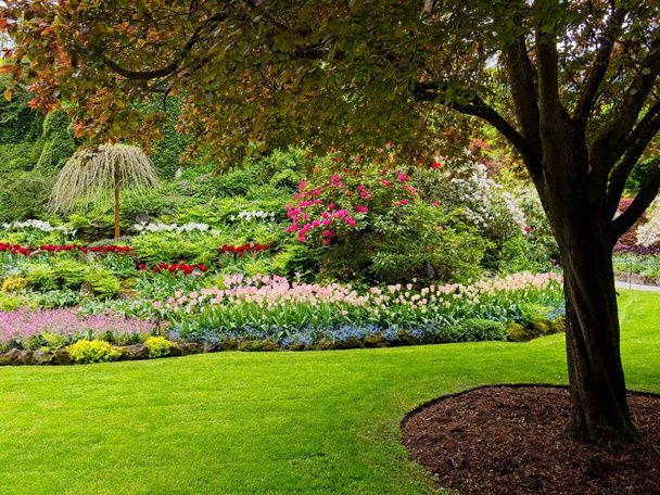 Üppiger Garten blüht im Frühling mit Tulpen, Blumenbeeten und Rasen - Foto, Bild