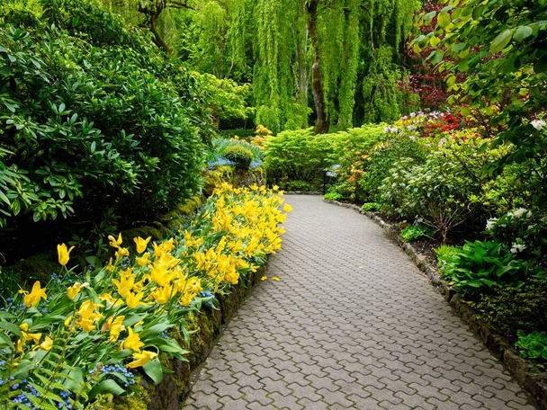 Rehevä puutarha kukkivat keväällä tulppaanit, kukkapenkit ja nurmikot - Valokuva, kuva