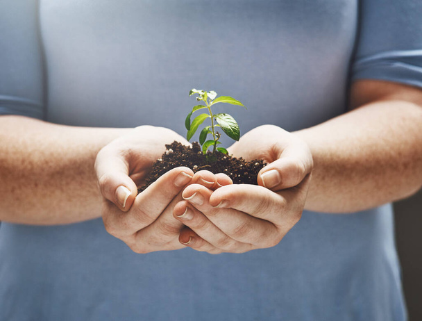 Budoucnost je ve vašich rukou. Oříznutý záběr osoby, která drží rostlinu rostoucí v půdě. - Fotografie, Obrázek