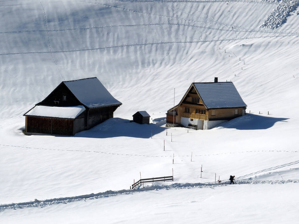 Cabanas alpinas indígenas e estábulos de gado de madeira em pastagens suíças cobertas com neve branca fresca, Alt St. Johann - Obertoggenburg, Suíça (Schweiz) - Foto, Imagem
