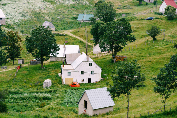 Durmitor Milli Parkı 'ndaki yeşil ağaçların arasında taş evler - Fotoğraf, Görsel