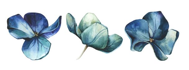  Watercolor painted set of blue and emerald flowers of hydrangea. Vector traced floral collection isolated. - Vektori, kuva