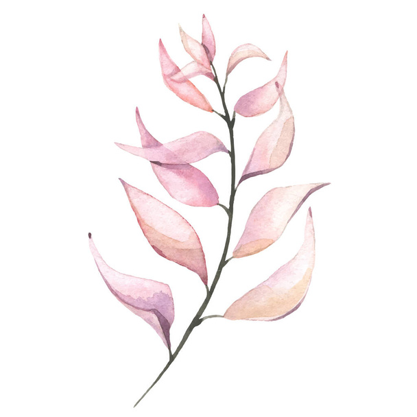Watercolor floral pink and orange twig. Vector traced isolated brunch illustration - Vector, imagen