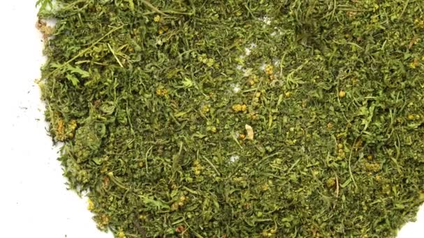 sweet annie, chinese medicinal herb, dried on a turn table - Footage, Video