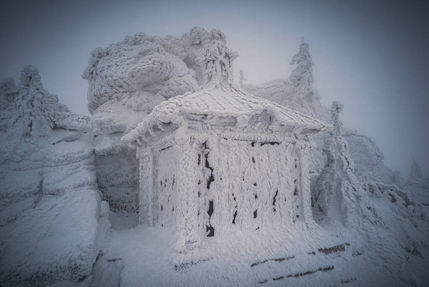 Dreisesselberg télen hó Németország és a Cseh Köztársaság határán, Bajor erdő - Sumava Nemzeti Park, Németország - Cseh Köztársaság. Kiváló minőségű fénykép - Fotó, kép