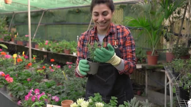 Gärtnerin arbeitet in Blumenladen - Filmmaterial, Video
