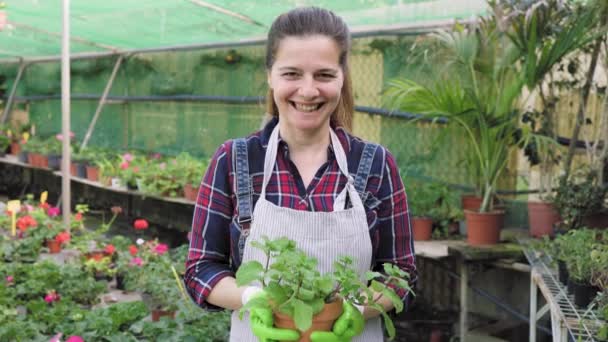 Donna felice che lavora nel negozio di fiori giardino - Filmati, video