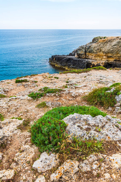 view of the sea coast with rocky cliff in santa maria di leuca - Fotografie, Obrázek