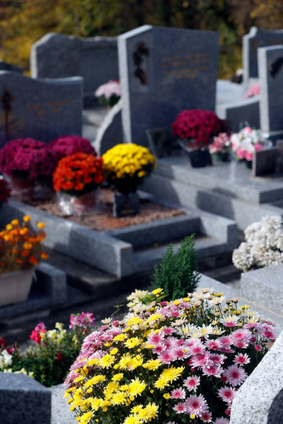 Νεκροταφείο την ημέρα των Αγίων Πάντων. Χρυσάνθεμα στον τάφο. Σεν Ζερβέ. Γαλλία. - Φωτογραφία, εικόνα