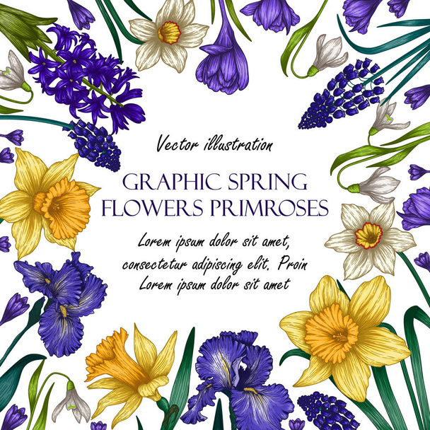  Εικονογράφηση διανύσματος του προτύπου banner. Γραφικά γραμμικά χρωματιστά ανοιξιάτικα λουλούδια σε κύκλο. Κροκέτες, χιονοπτώσεις, ίριδες, νάρκισσοι, υάκινθοι, μουσκαρί - Διάνυσμα, εικόνα