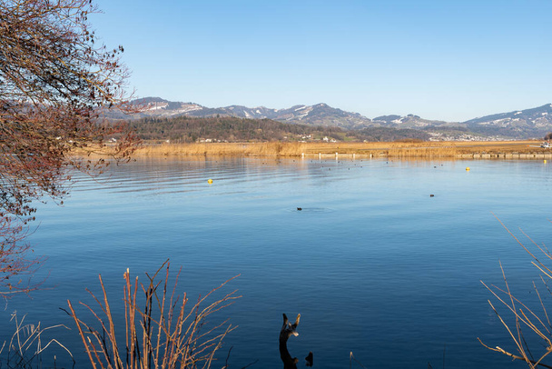 Wangen-Lachen, Svájc, 2022. február 13.Kilátás a Zürichi-tóra egy napos napon - Fotó, kép