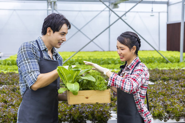 Agriculteurs asiatiques locaux cultivant leur propre salade de chêne vert dans la serre en utilisant l'approche biologique du système hydroponique de l'eau pour l'entreprise familiale et en cueillant certains à vendre - Photo, image