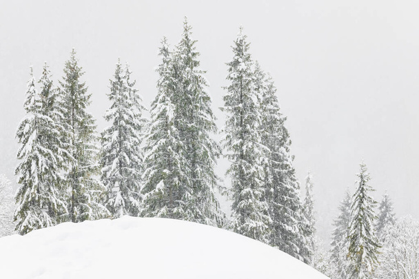 Hideg és havas tél a Sappada Dolomitoknál télen - Fotó, kép