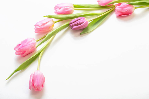 pink tulips on white background - Φωτογραφία, εικόνα