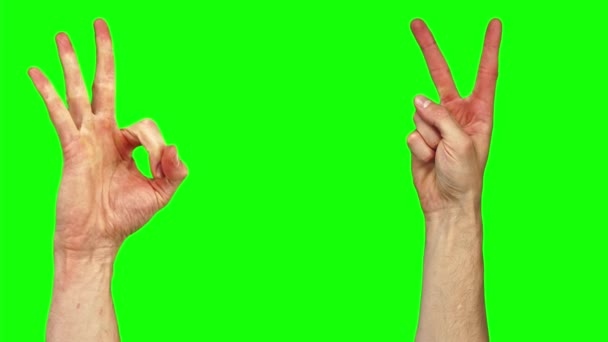 27 gebaren van lichaamstaal weergegeven op groen scherm met mannelijke blanke handen - Video