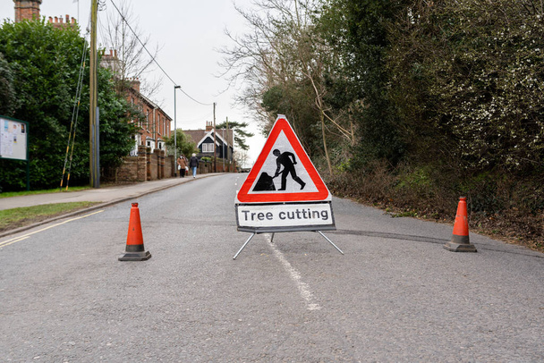 Señal de seguridad para cortar árboles y conos anaranjados que bloquean la carretera para mantener al público en general alejado de la zona de peligro de la caída de ramas y maquinaria en uso - Foto, Imagen