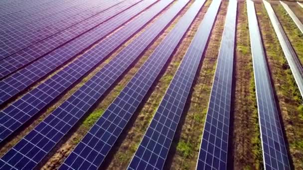 Violeta azul roxo linhas de blocos de painéis solares usina de energia solar no campo - Filmagem, Vídeo