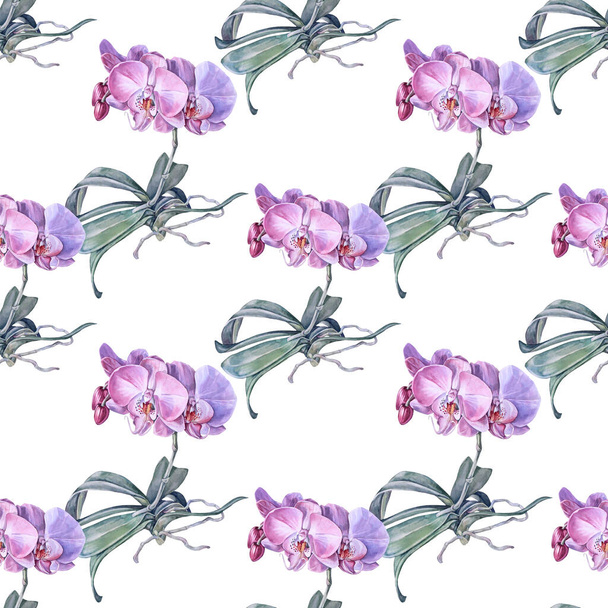 Seamless pattern watercolor pink orchid flower with green leaves and roots isolated on white background. Creative nature realistic home plant for wedding wallpaper wrapping florist celebration - Foto, Bild
