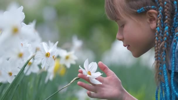 Happy child girl enjoying sweet smell of white narcissus flowers in summer garden - Footage, Video