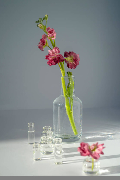 Beautiful abstract background with flowers and vases. - Фото, изображение