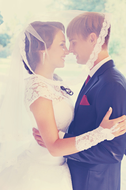 feliz recém-casados sob o véu, matizado
 - Foto, Imagem