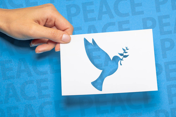 жінка тримала картон з вирізаним голубом миру Символом і текстом з словом мир на задньому плані - Фото, зображення