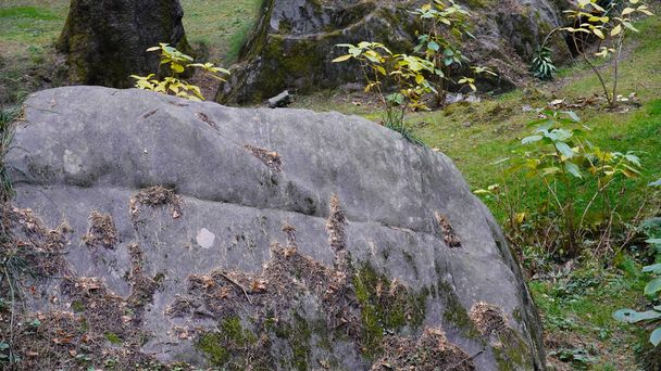 közeli kép egy szikláról zöld fűvel - Fotó, kép