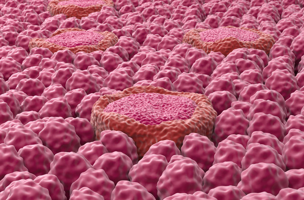 Taste bud receptor fields on the tongue - closeup view 3d illustration - Photo, Image