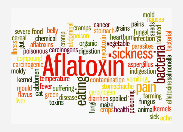 Word Cloud with AFLATOXIN concept, isolated on a white background. - Photo, Image