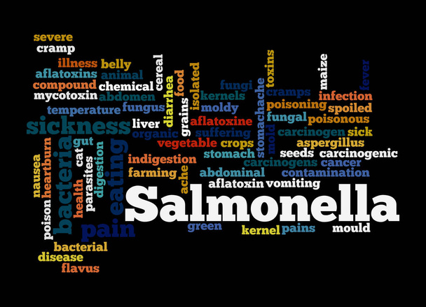 Word Cloud with SALMONELLA concept, isolated on a black background. - Photo, Image