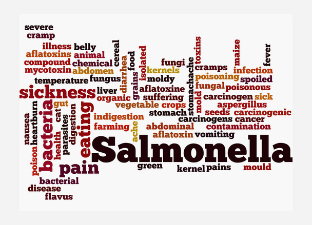 Word Cloud with SALMONELLA concept, isolated on a white background. - Photo, Image