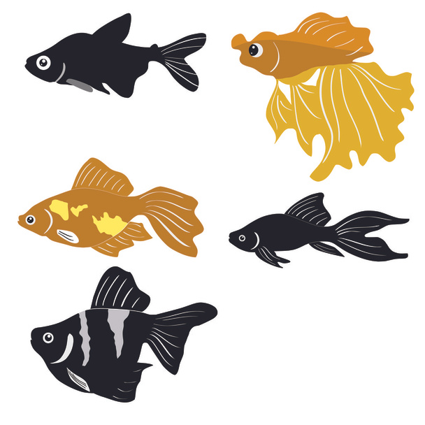 ilustración de los peces - Vector, Imagen