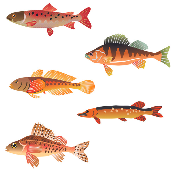απεικόνιση των ψαριών - Διάνυσμα, εικόνα
