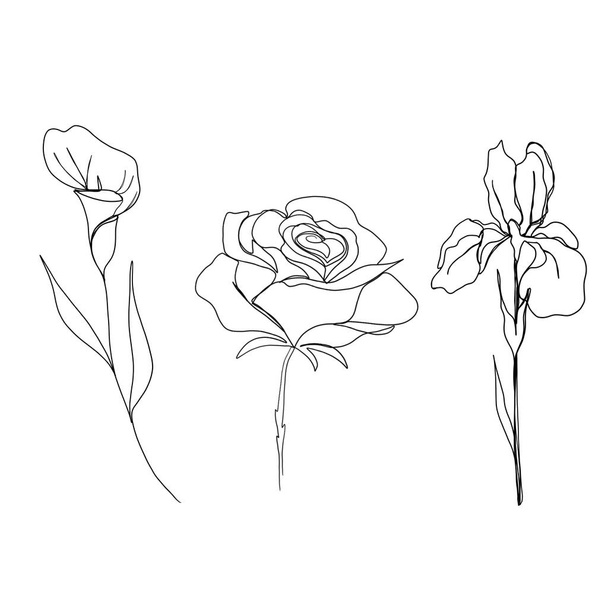 γραμμή τέχνη σχέδιο των λουλουδιών. set line τέχνη σύνολο περιττώματα λουλούδι και ίριδας λουλούδι και τριαντάφυλλο. μινιμαλιστικό σκίτσο, ιδέα για πρόσκληση, σχεδιασμός ιστοριών Instagram και στιγμιότυπα - Φωτογραφία, εικόνα