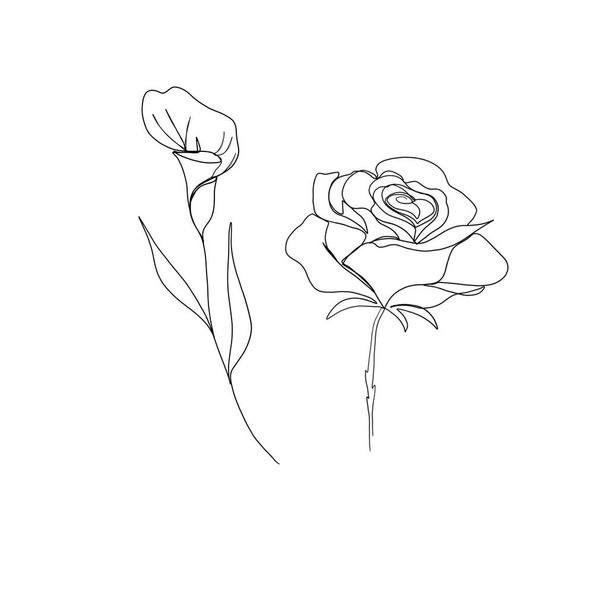 Linienkunst Zeichnung von Blumen. Set Line Art Set von Blumen Kot und Rose. Minimalismus-Skizze, Idee für Einladung, Gestaltung von Instagram-Geschichten und Highlights-Icons - Foto, Bild