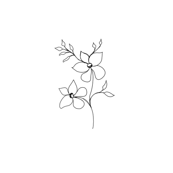linja taiteen piirustus kukkia. Syötävä rivi. minimalismi luonnos, idea kutsun, suunnittelu Instagram tarinoita ja korostaa kuvakkeita - Valokuva, kuva