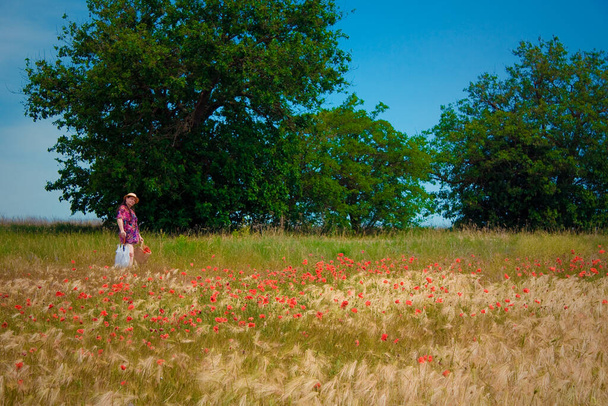 Landscape in the style of Claude Monet. Impressionistic landscape. Poppy field and a lady with a lace umbrella. - Fotó, kép