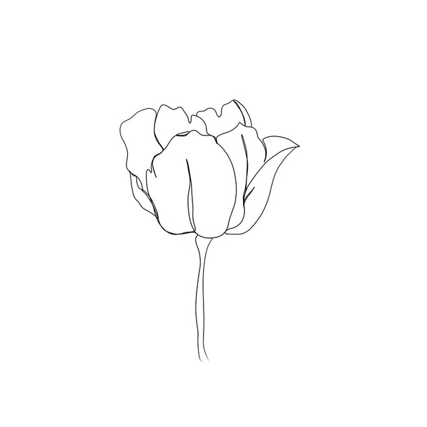 Линия рисунок цветов. set line art flower tulip. минимализм эскиз, идея для приглашения, дизайн рассказов Instagram и выделяет иконы - Фото, изображение