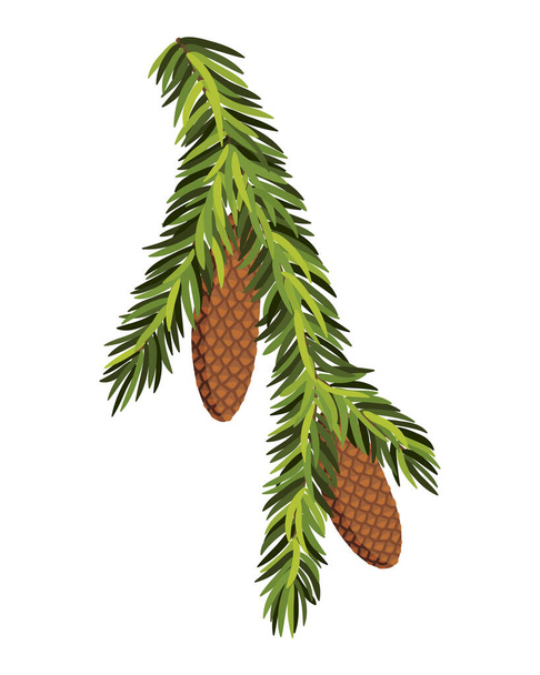 Fir tree branch with hanging cone. Green spruce branch as natural evergreen decoration element for banner. Isolated on white vector illustration - Διάνυσμα, εικόνα