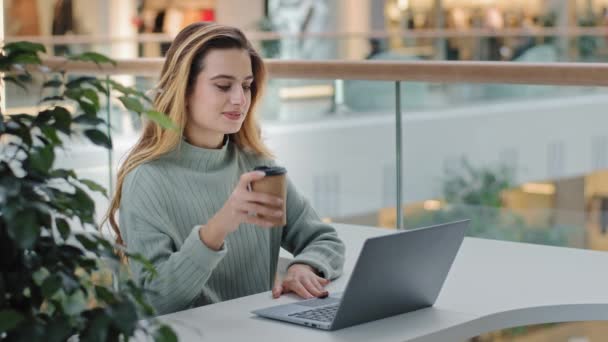Caucasian business female freelancer student designer worker sitting at table in cafe office corporate space working with laptop typing message drinking coffee tea e-learning online shopping free wifi - Footage, Video