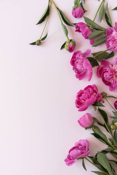 Růžové pivoňkové květy kytice na neutrálním pastelově elegantním růžovém pozadí. Plochá poloha, horní pohled minimální květinové složení - Fotografie, Obrázek
