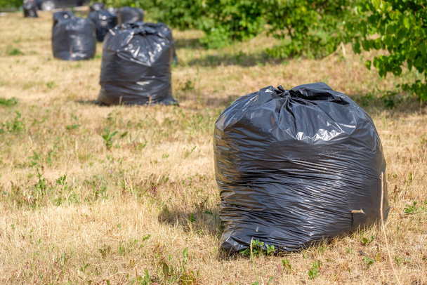 rivi mustia jätesäkkejä ulkona kuivalla nurmella. jätekokoelma puistossa - Valokuva, kuva