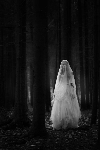 Black and white portrait of a ghost bride in a long white dress and veil standing in a gloomy dark forest. - Fotoğraf, Görsel