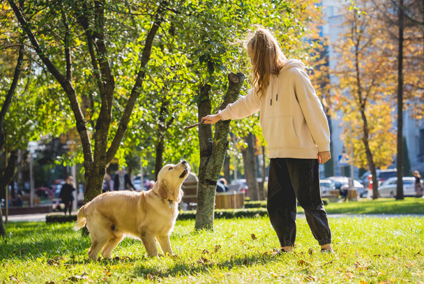The owner plays the golden retriever dog in the park. - Фото, зображення
